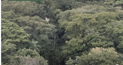 Polícia Militar Ambiental Intensifica Ações de Prevenção em Bonito