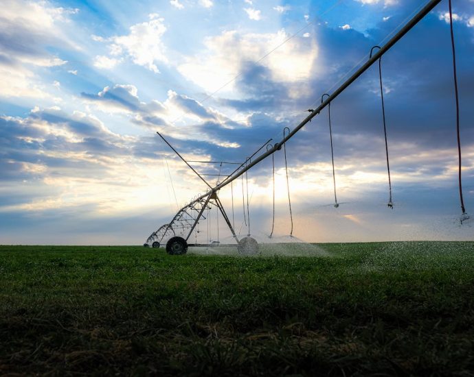 Inovação no Agronegócio: IoT e Inteligência Artificial Para Irrigação Eficiente