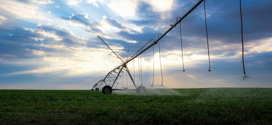 Inovação no Agronegócio: IoT e Inteligência Artificial Para Irrigação Eficiente