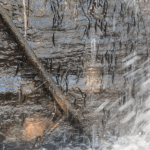 Peixes surpreendem ao escalar cachoeira na República Democrática do Congo