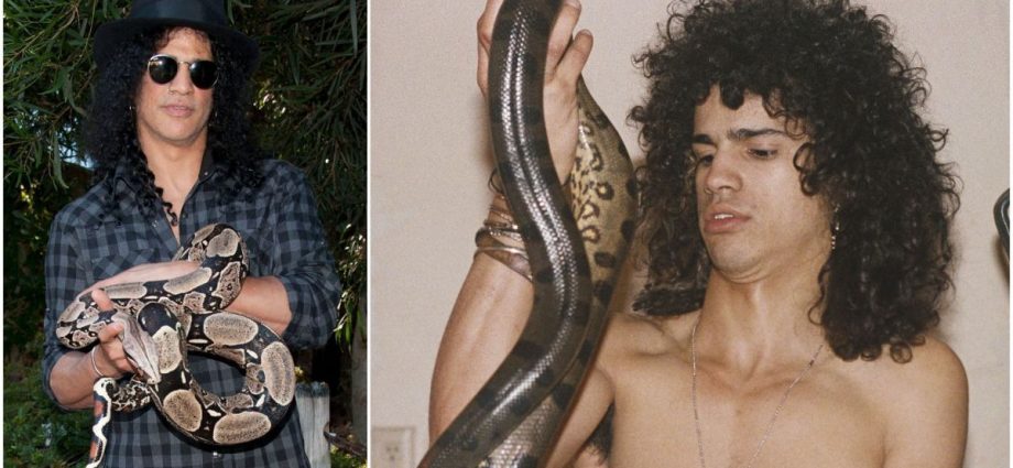 A Visita de Slash ao Butantan: Um Encontro Marcante com as Cobras