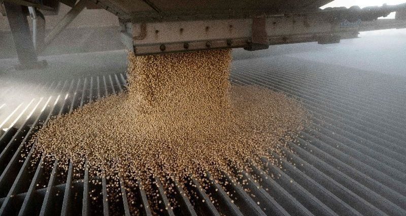 Exportações de Soja em Abril Podem Atingir 16,68 Milhões de Toneladas