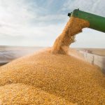 Impactos da Guerra no Irã Afetam Abastecimento e Preços no Brasil