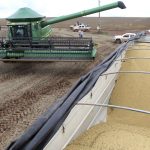 Parceria entre BRANDT, MyCarbon e Banco do Brasil Facilita Acesso a Crédito Rural e Créditos de Carbono