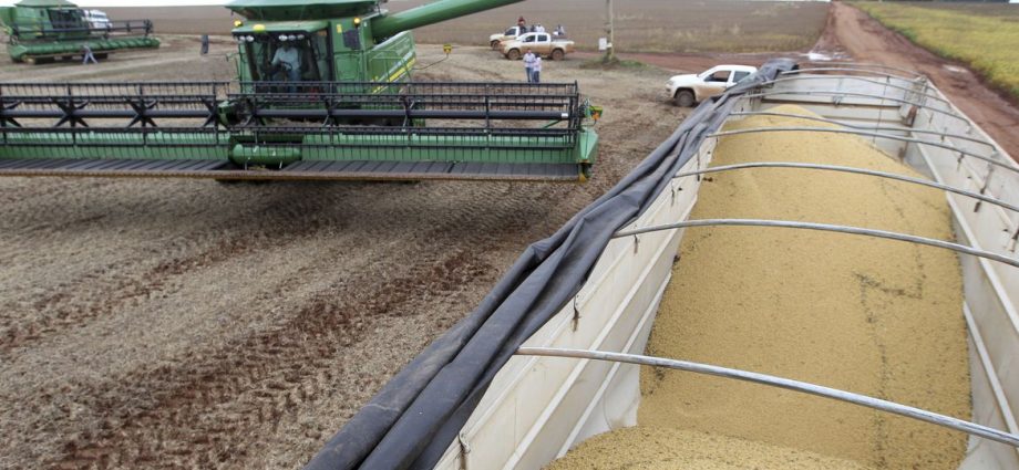 Parceria entre BRANDT, MyCarbon e Banco do Brasil Facilita Acesso a Crédito Rural e Créditos de Carbono