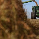 Início da Colheita de Soja na Argentina Apresenta Lavouras em Boas Condições