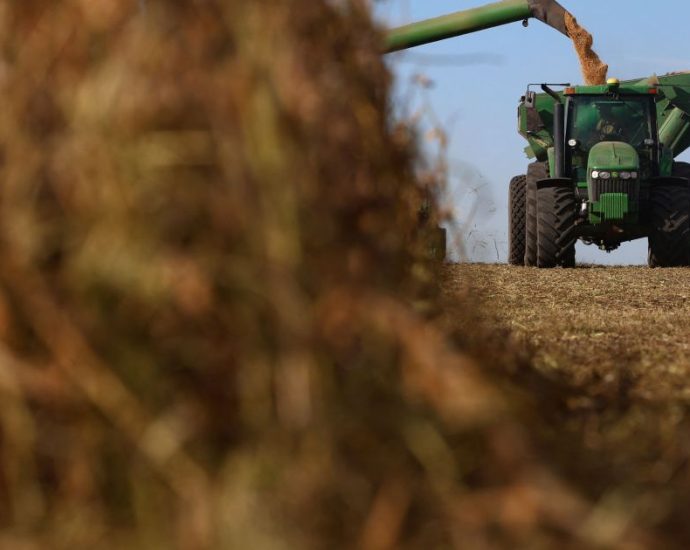 Início da Colheita de Soja na Argentina Apresenta Lavouras em Boas Condições