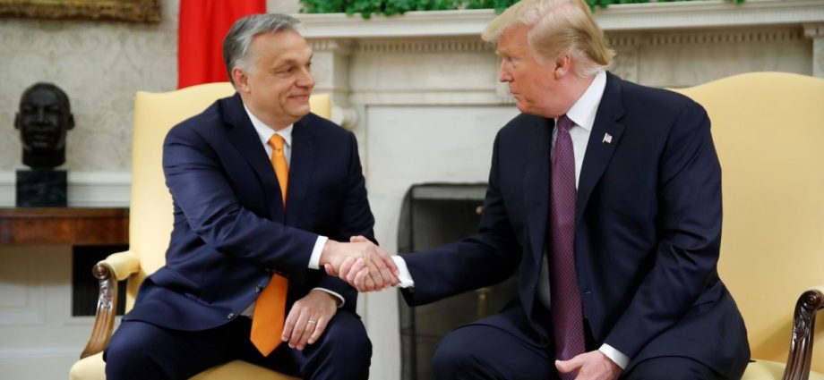 Trump comenta sobre derrota de Orbán na Hungria e elogia novo primeiro-ministro