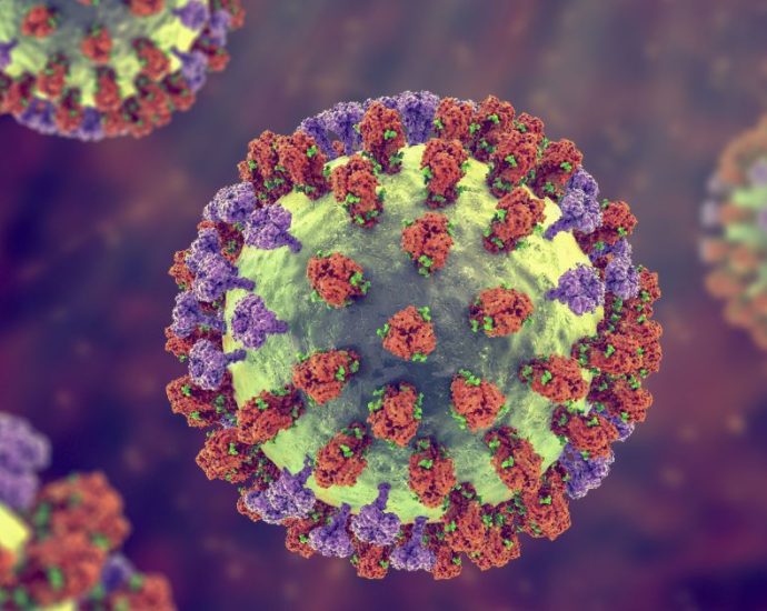 Aumento de Casos de Influenza A: Especialista Orienta Medidas de Proteção