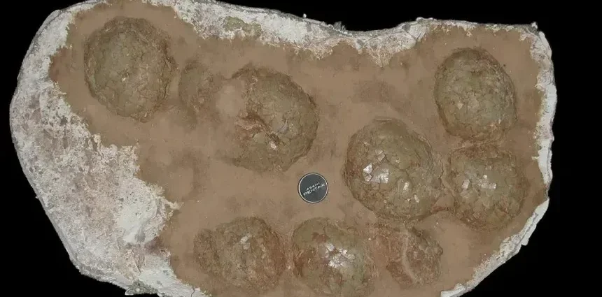 Titanossauros: Estratégias de Reprodução em Altas Latitudes Revelam Novas Descobertas