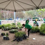 Rondonópolis recebe projeto Muda Sua Vida com distribuição de 6 mil mudas gratuitas