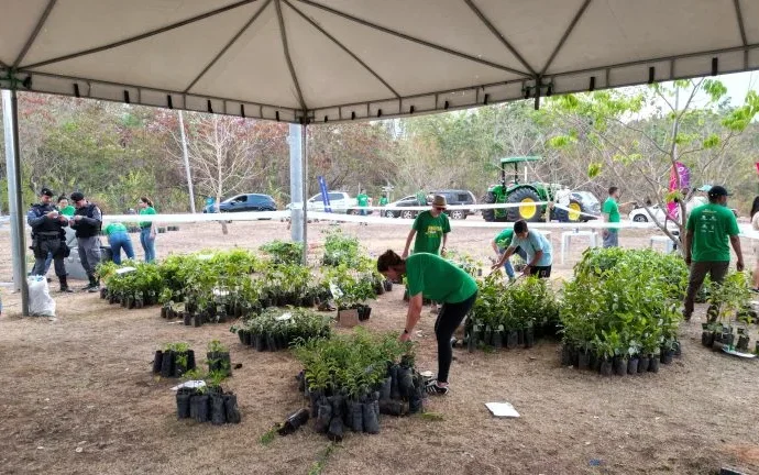 Rondonópolis recebe projeto Muda Sua Vida com distribuição de 6 mil mudas gratuitas