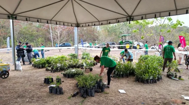 Rondonópolis recebe projeto Muda Sua Vida com distribuição de 6 mil mudas gratuitas