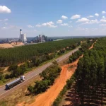 Expansão da Cadeia de Celulose Gera Oportunidades de Emprego em Água Clara e Santa Rita do Pardo