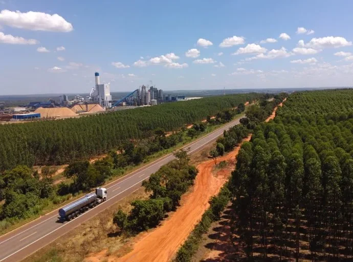 Expansão da Cadeia de Celulose Gera Oportunidades de Emprego em Água Clara e Santa Rita do Pardo