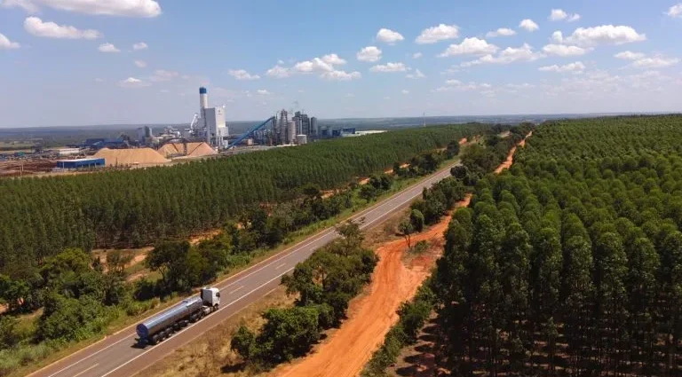 Expansão da Cadeia de Celulose Gera Oportunidades de Emprego em Água Clara e Santa Rita do Pardo