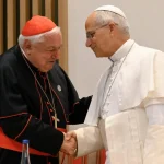 Dom Aveline agradece ao Papa em encontro em Lourdes