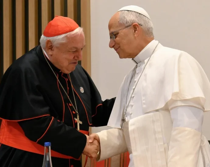 Dom Aveline agradece ao Papa em encontro em Lourdes