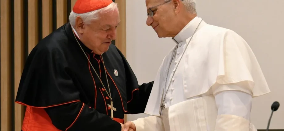 Dom Aveline agradece ao Papa em encontro em Lourdes