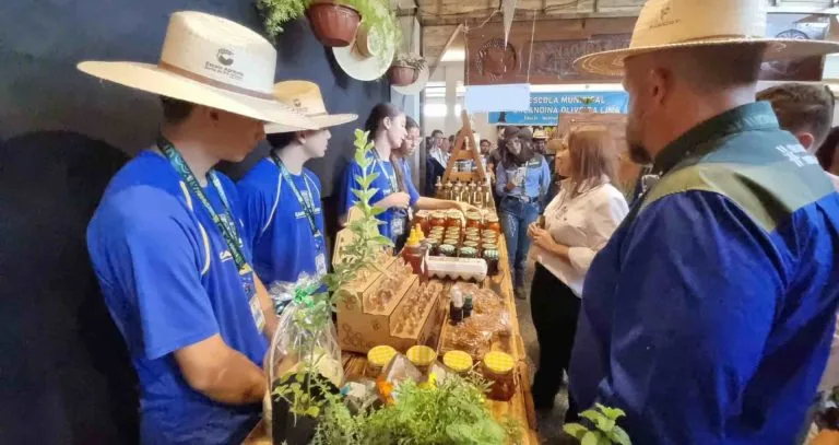 Campo Grande planeja mercado para produtos da agricultura familiar, revela prefeita