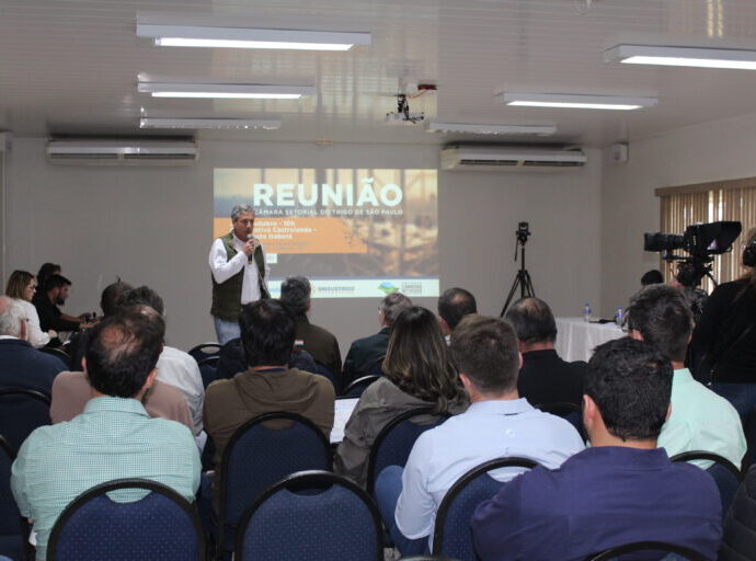 Chuvas reduzem safra de trigo em São Paulo para menos de 20% do esperado