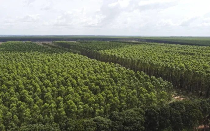 Discussões sobre Ministério da Agricultura e Exportações em Alta Marcam Análises da Mídia