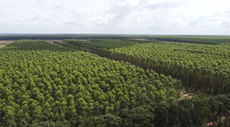Discussões sobre Ministério da Agricultura e Exportações em Alta Marcam Análises da Mídia