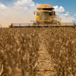 Análise de Mídia: Destaques da Agricultura e Comércio entre 30 de setembro e 2 de outubro de 2026