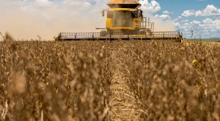 Análise de Mídia: Destaques da Agricultura e Comércio entre 30 de setembro e 2 de outubro de 2026