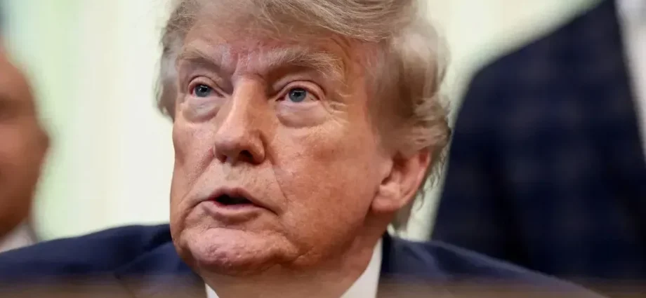 Eleições brasileiras atraem atenção internacional, especialmente de Trump
