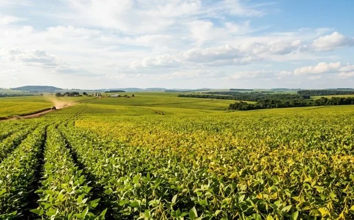 Brasil se aproxima de liderança nas exportações agrícolas, aponta análise de mídia