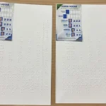 Reinaldo Azambuja lança material eleitoral em Braille para garantir acessibilidade