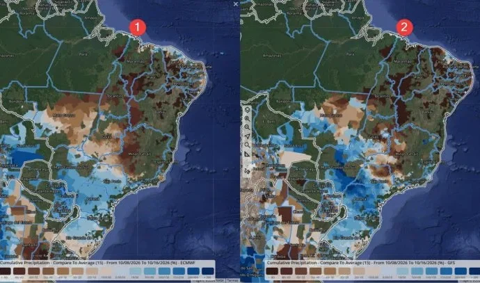 Chuvas Recentes Beneficiam Plantio de Soja e Milho, Mas Aumentam Risco para Trigo no Sul