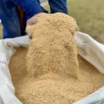 Cargill e Conab lançam programa inédito para pequenos e médios produtores de soja no DF