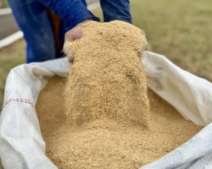 Cargill e Conab lançam programa inédito para pequenos e médios produtores de soja no DF