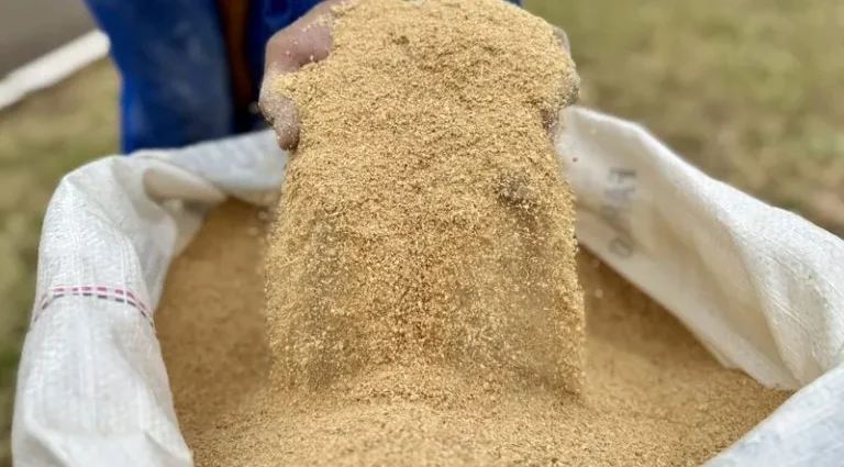 Cargill e Conab lançam programa inédito para pequenos e médios produtores de soja no DF