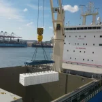 Suzano estabelece novo recorde ao embarcar 39,1 mil toneladas de celulose em 24 horas no Porto de Santos