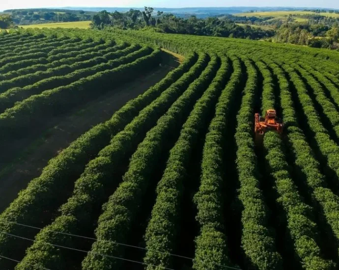 Agronegócio recolhe R$ 1,02 trilhão em tributos, mas recuperações judiciais avançam 18,7%