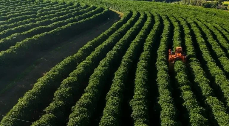 Agronegócio recolhe R$ 1,02 trilhão em tributos, mas recuperações judiciais avançam 18,7%