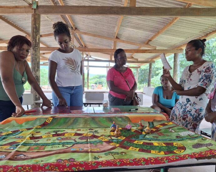 Fwd: Memória e identidade fortalecem a mobilização de mulheres em Furnas da Boa Sorte