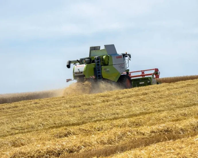 Crédito Rural: O Que os Bancos Analisam na Safra 2026/27