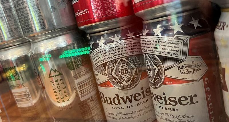 AB InBev atinge previsão de lucro no trimestre, mas custos pressionam resultados